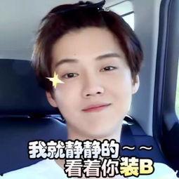 鹿晗 路过 表情包,青春记忆中的瞬间定格