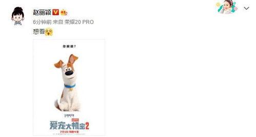 狂撒狗粮表情包,甜蜜瞬间，爱情甜蜜如蜜